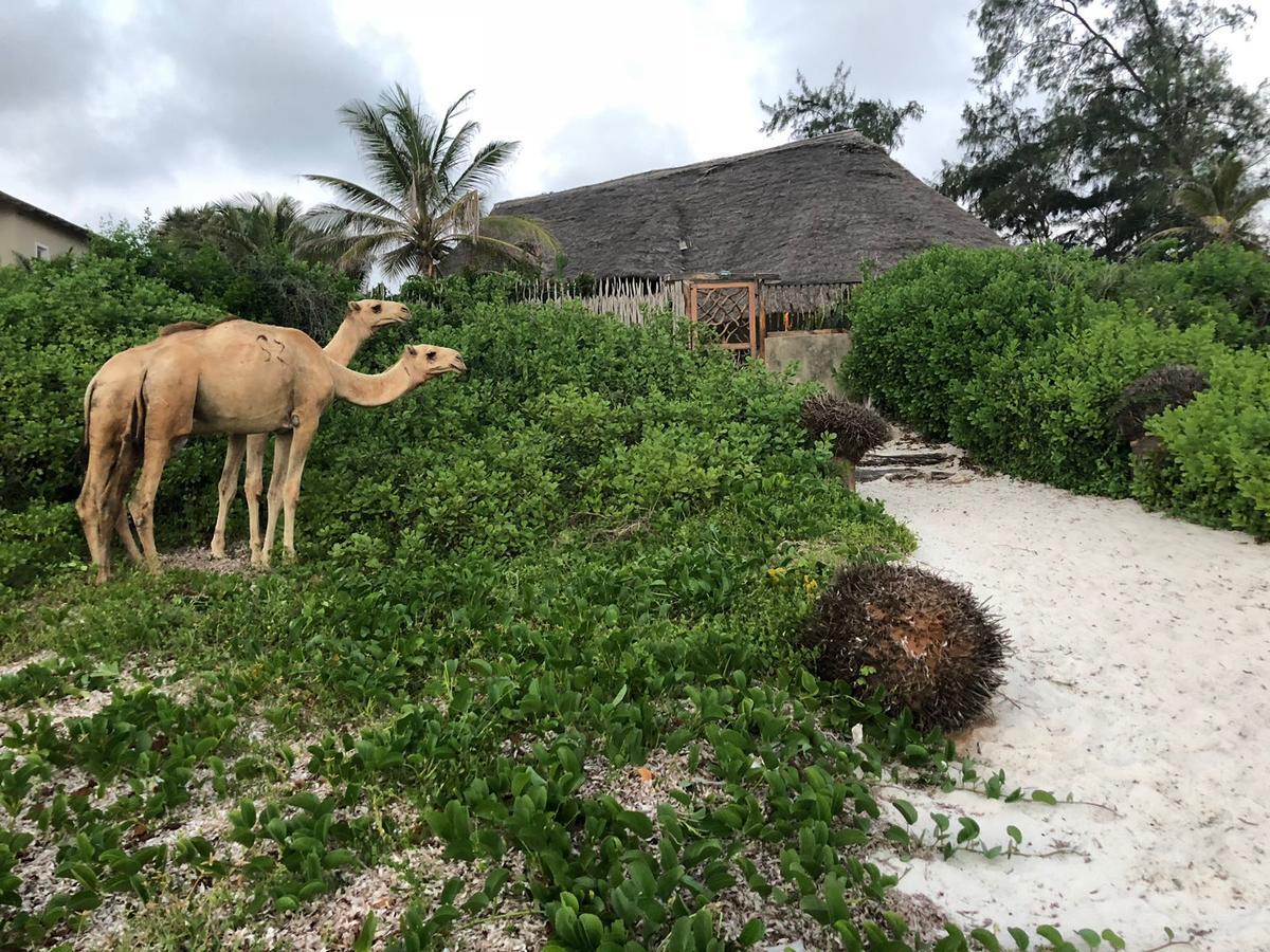 Sunset Beach Resort Watamu Zewnętrze zdjęcie